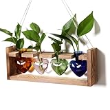 CYZglass Plant Propagation Stations Heart Plant Terrarium Kit Gift for Women Plant Lover Glass Vases