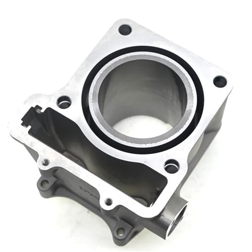 Cilindro de motor de motocicleta compatible con C XQ250 C RT2 RT3 4