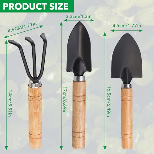 Rukinovi 3 Pcs Garden Tools,Mini Gardening Tools,Gardending Hand Tools Kit for Seedling for Succulent,Home Plants,Garden Potted Plants Etc Indoor Plant Accessories