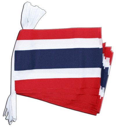 Guirlande Thaïlande Digni format geant de 8,9 m a haute densite lumineuse