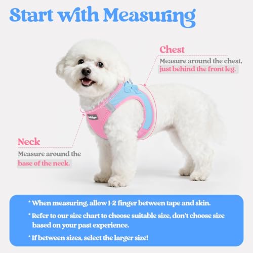Image of rabbitgoo Dog Harness Medium Sized and Leash Set, Step-in Puppy Pet Vest