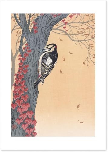 Peinture japonaise Koson Ohara grand pic tacheté lierre rouge poster toile 40x60cm