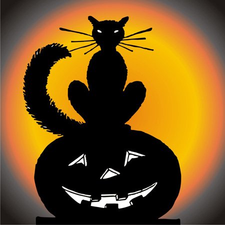 Plaque double prise de courant Halloween Chat sur citrouille pour mur - 4
