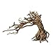 Bonsai Driftwood Aquarium Tree TT3 Random Pick (8in Height) Natural, Handcrafted Fish Tank Decoration | Easy to Install