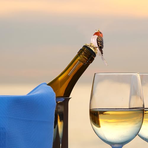 Vertedor de vino para evitar goteos y servir con total precisión 5
