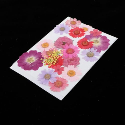 22 piezas de resina epoxi para decoración de uñas y joyería miniatura 2
