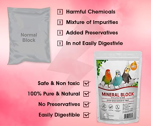 BOLTZ All Life Stages Natural Mineral Block with Cuttlefish Bone Chunks for Birds(250 gm)