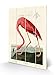 Produktbild John James Audubon SW12759A Bild auf Holz, 40 x 59 cm (Amerikanische Flamingo), Mehrfarbig, 40 x 59 x 1,2 cm