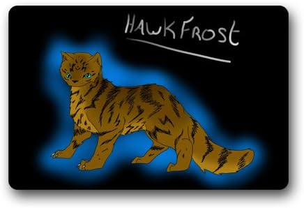 Warrior Cats Fan Art Custom Doormat (23.6"x15.7")