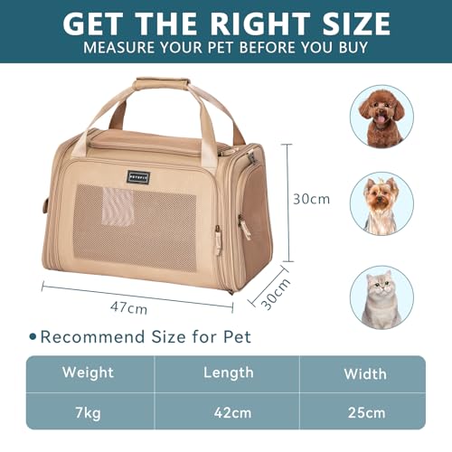 Petsfit Transportbox Hund Katze Faltbar Hundetasche für kleine Hunde Katzen Tragetasche mit verstellbarem Schultergurt & weiches expandierbare Kissen, M/Khaki