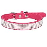 Adorable collar para mascotas perfecto para fiestas de disfraces, bodas y regalos de Navidad.