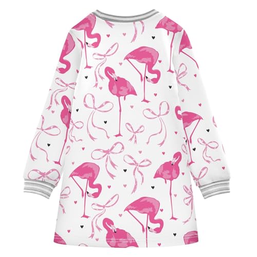 Flamingo Bow Girls Dresses Long Sleeve Sweatshirt Dress for Girls Winter Toddler Casual A Line Dresses Size 2-8T2