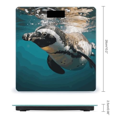 Báscula Digital para Baño de Vidrio Templado 10.2 pulg miniatura 2