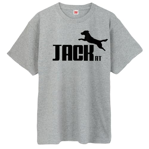 [V]  TVc Aj} y WbNbZeA Wv zy O[T zy XL z /P6/