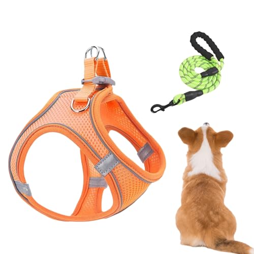 Arnés para perros y correas, arnés ajustable para perros con correa para cachorros y perros pequeños - Chaleco reflectante para cachorros, gatitos y gatos para viajar con el coche Entrenamiento