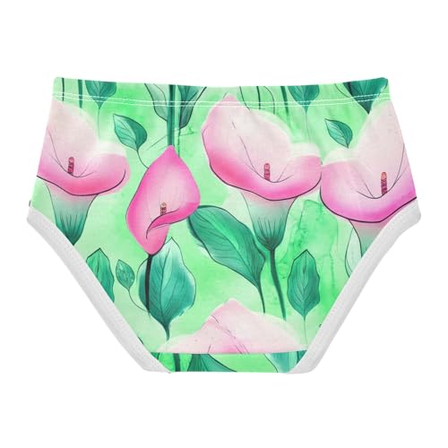 Cartoon Girls Underwear Toddler 2t Cotton Panties for Girl Pink Calla Lily Flowers Teal Green Kids Briefs Undies2