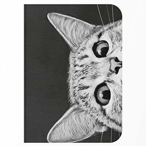 Caderno - Gato curioso