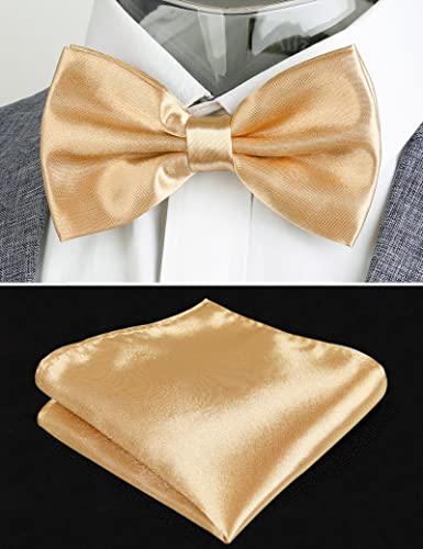 Image of Alizeal Mens Multicolored Silk Solid Cummerbund Bow Tie Set