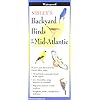 Sibleys Backyard Birds of the Mid Atlantic South Central States Foldingguides Wall Chart–January 31 2005