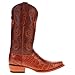 Vaccari Men's James Hand-Corded Top UT Longhorns Embroidery Cognac Gator Belly Leather Narrow Square Toe Cowboy Boots - 9 EE