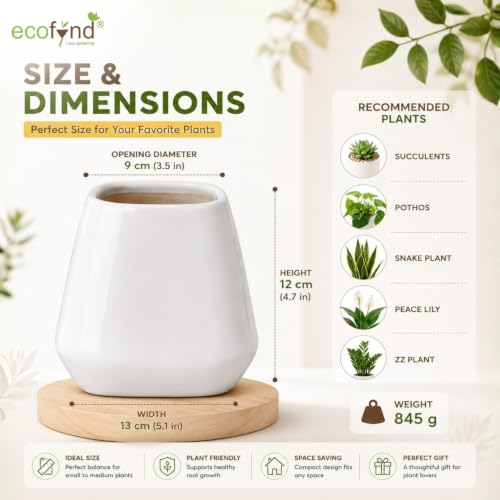 Image of ecofynd 3.5 Inch Ceramic Plant Pots with Drainage Hole, Modern Decorative Clay Flower Pots for Indoor Plants, Office, Living Room, Decorative Tabletop Planters for Home, Bedroom & Shelf (CPOT048-WHT)