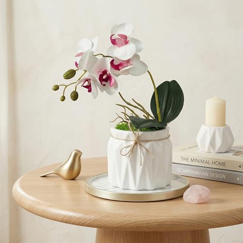 Image of Dekorly Artificial Lavender Plant in White Pot, 18cm - Realistic Faux Flower Arrangement for Home & Office Decor (Set of 1) (1, White Orchid)