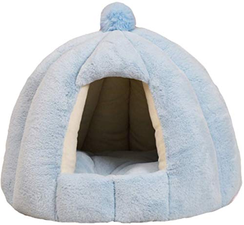 BOLUORY Lxbh LnEX h[^   x bh NbV ^ LbgnEX ybg xbh ӂӂ g ybgxbh ybgnEX ΍ ۉh ~ (u[)