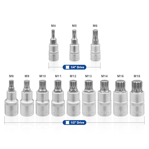 Image of DAKCOS 12pcs Spline Socket Set, M4-M18 Spline Bit Set Socket for 1 /2 inch 1 /4 inch