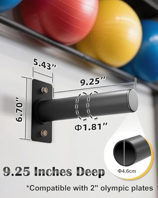 Weight Plate Holder - 330LB Capacity Wall Mounted Weight Plate Rack for 2 Olympic Plates, Weight Plate Storage with Protective Rubber Pads, Heavy Duty Steel, Space Saving Home Gym Storage