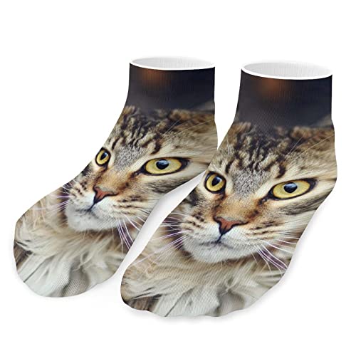 BAIKUTOUAN Maine Coon Cat Low Cut Sports Socks Breathable Lightweight Running Ankle Socks for Men Women