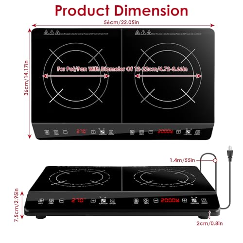 2000W Double Induction Cooktop Review
