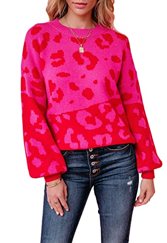 Image of ANCAPELION Women's V Neck Sweater Pullover Leopard Long Sleeve Basic Color Block Jumper Casual Knitted Tops