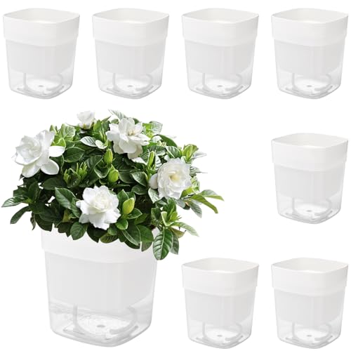 HEIYUET 8 unidades de 12 cm de color blanco, maceta de autoriego, rectangular, con sistema de riego, maceta autorriego para hierbas de cocina