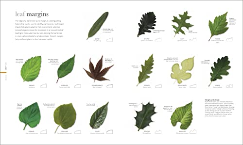 Image of The Science of Plants: Inside their Secret World