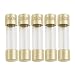 Pack of 5-10A Glass Fuse (GMA), 250v, 5mm x 20mm (3/16" X 3/4") Fast Blow (Fast Acting)