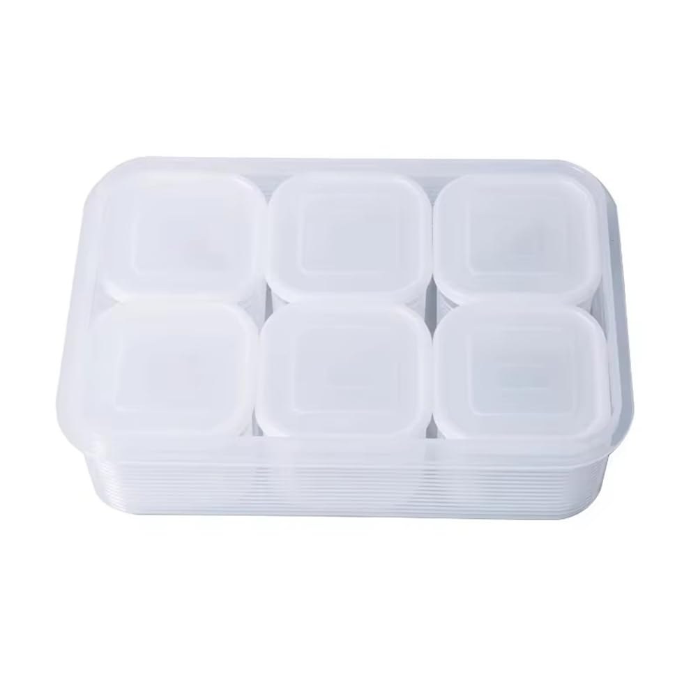 CTRLZS Food Storage Container with Lid - -Keeping Box for Fruits, Vegetables, Seasonings,Refrigerator & Kitchen Organizer