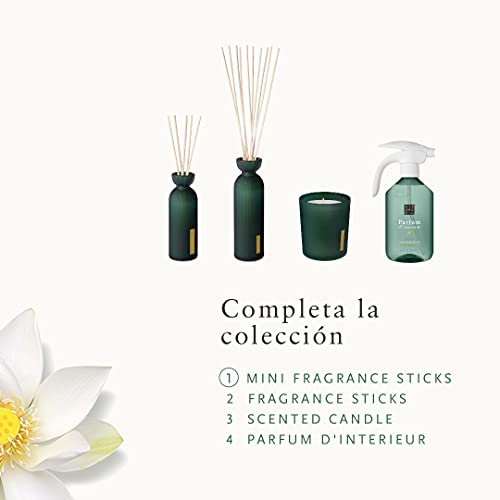 RITUALS-Ambientadores-Mikado-de-The-Ritual-of-Jing-con-Loto-Sagrado-Azufaifa-y-Menta-China-Propiedades-Relajantes-y-Calmantes