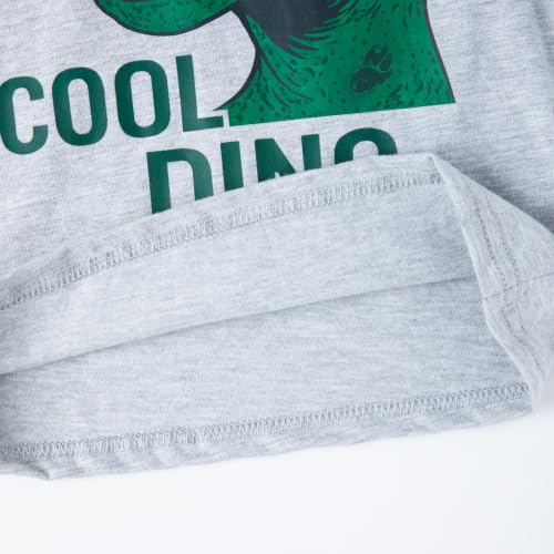 Image of HILEELANG Toddler Boy Summer Outfit Set 2 Piece Short Sleeve T Shirt and Short Soft Breathable Cotton Clothing Sets 2-7T