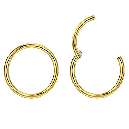 2pcs G23 Titanium Nose Rings Small Earrings Hoop 5mm Helix Earring 16g Cartilage Earring Rook Earrings Daith Earrings Tragus Earrings Anti-Tragus Earring Gold Hoop Nose Ring Nose Rings 16 Gauge
