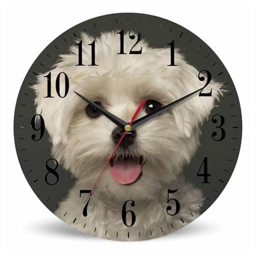 Mxocom Dog Face Wall Clock Maltese Puppy Panting Looking at The Camera Closeup 10 Inch Silent Non
