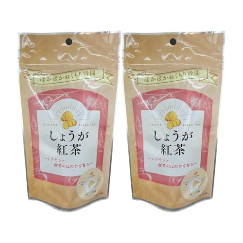 ゼンヤクノー しょうが紅茶10p 10g(1gｘ10袋入)×2個
