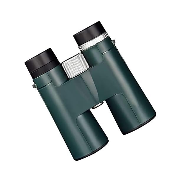 Fernglas 12x42 Kompakte FerngläSer FüR Erwachsene Wasserdichtes Anti-Nebel-Feuchtes-Fernglas FüR Reisen Wandern Konzert