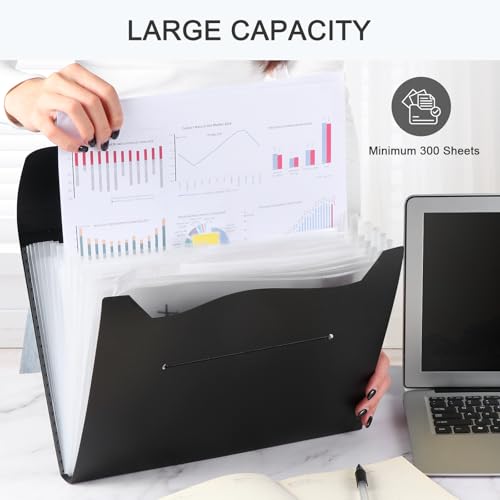 Image of Diboniur Expanding File Organiser
