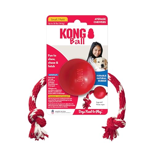 Kong KB21 Ball With Rope - Dog Fetch Toy thumb #1