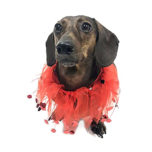 Midlee Valentine's Day Lips Decorative Dog Collar (Large) #TOP1