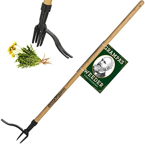 Grampa's Weeder - The Original Stand Up Weed Puller Tool With Long Handle - Made With Real Bamboo & 4-Claw Steel Head Design - Easily Remove Weeds Without Bending, Pulling, or Kneeling