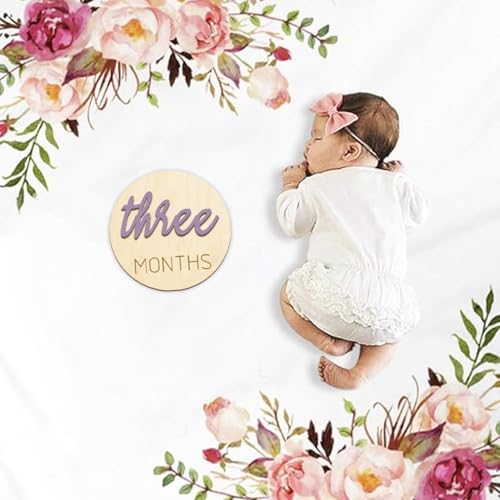 Image of Baby Monthly Milestone Markers Disc, Wooden 3D Milestone Cards for Photos, Baby Announcement Sign, 1-12 Months, wooden baby milestone sign (Purple)