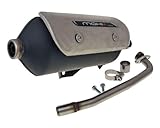 Auspuff Tecnigas Maxi 4N für Yamaha Majesty 250 YP250 4T LC (4UC) 96-99