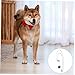 BESPORTBLE Cartoon Dog Necklace for Pets Durable Alloy Pendant Cute Costume Jewelry for Dogs and Cats for Parties and Festivals