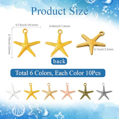 Breloques Étoiles de Mer en Boîte, Idéal Cadeau pour Passionnés DIY - 3